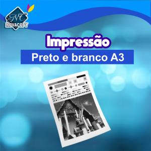 Impressão preto e branco A3  ( 1 dia útil )  TAMANHO A3    